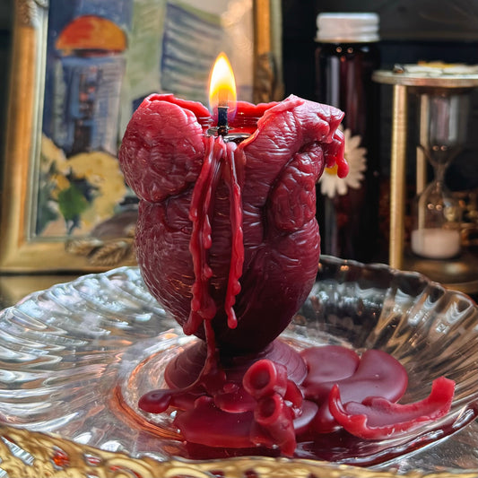 Anatomical Heart Candle