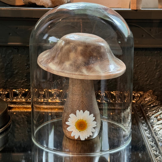 Cloche ✿ Daisy