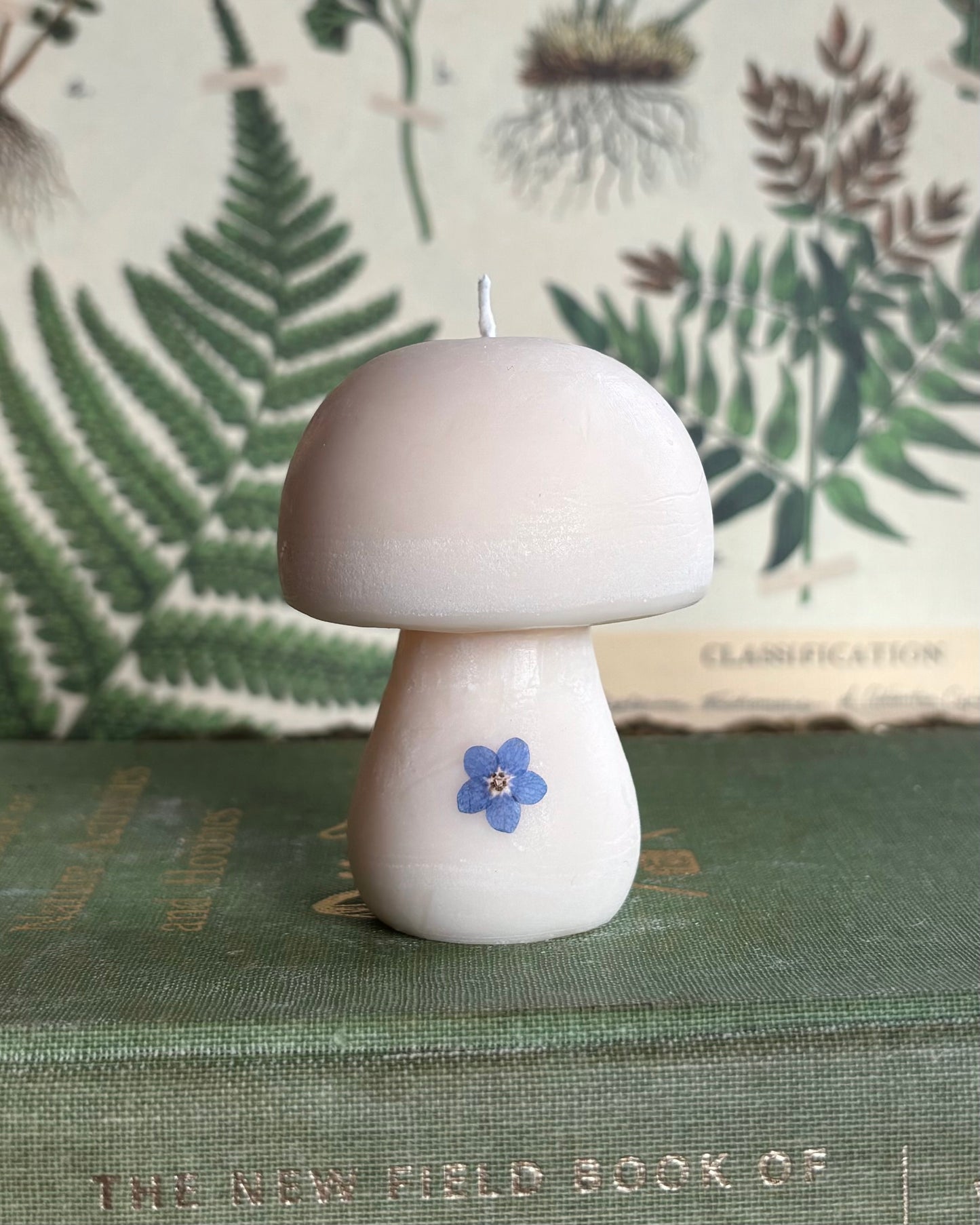 Mushroom Candle