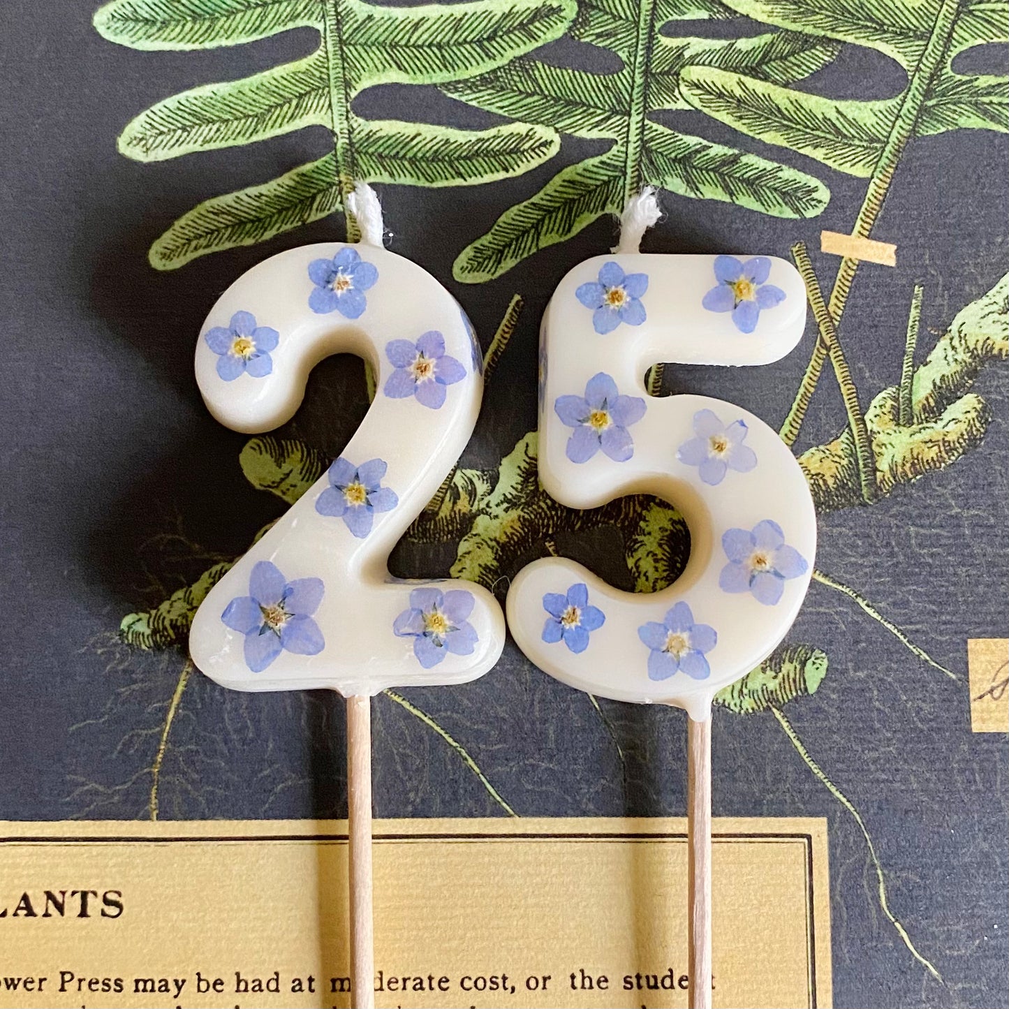 MTO ✿ Forget Me Not Birthday Candle Numbers